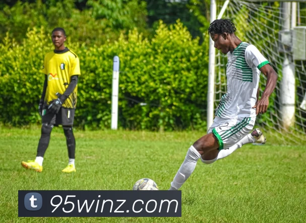 九五至尊官网全站App